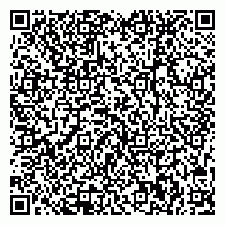 vCard 78033000810