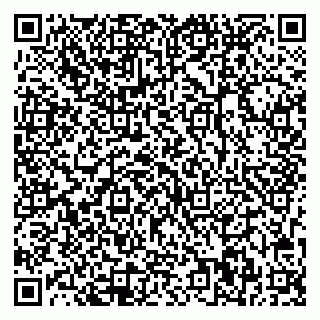 vCard 78033000899