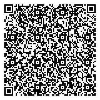 vCard 78033000982