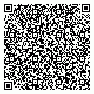 vCard 78033001002