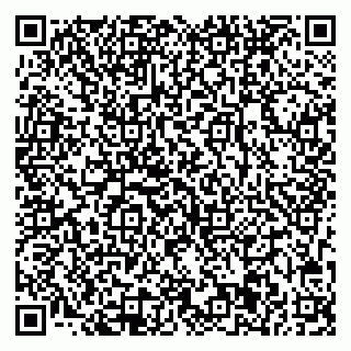 vCard 78033001024