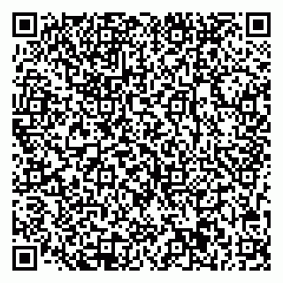 vCard 78033001027