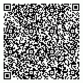 vCard 78033001029