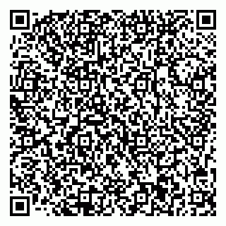 vCard 78033001031