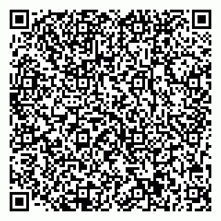 vCard 78033001037