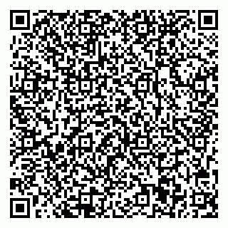 vCard 78033001038