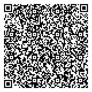 vCard 78033001040