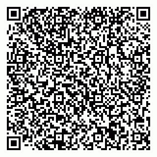 vCard 78033001041