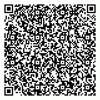 vCard 78033001046