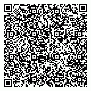 vCard 78033001064