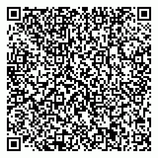vCard 78033001065