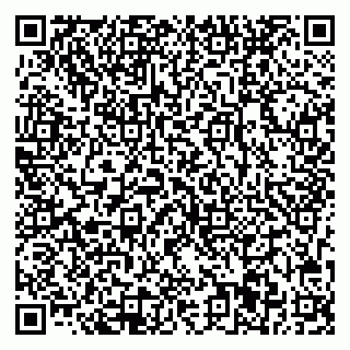 vCard 78033001069
