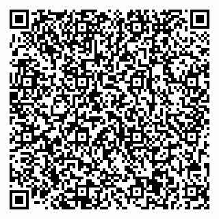 vCard 78033001074