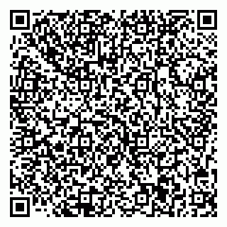 vCard 78033001081