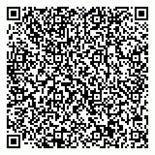 vCard 78033001096