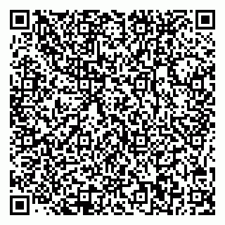 vCard 78035000039