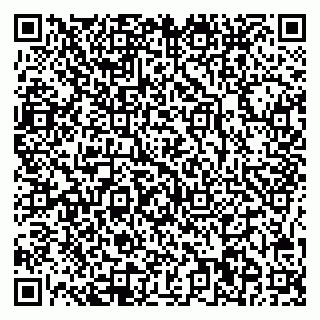 vCard 78035000739