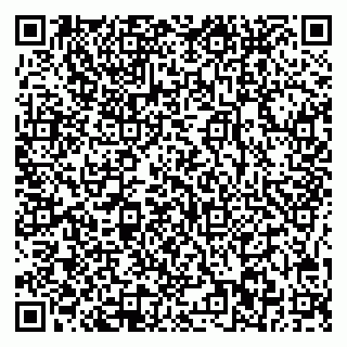 vCard 78035002039