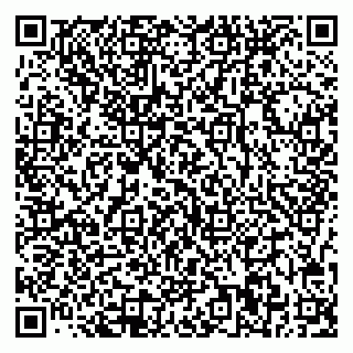 vCard 78037000039