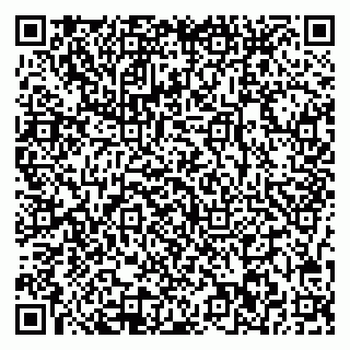 vCard 78037002011