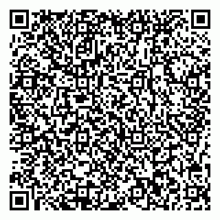 vCard 78037002153