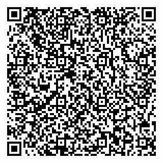 vCard 78037002739