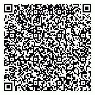 vCard 78037003013