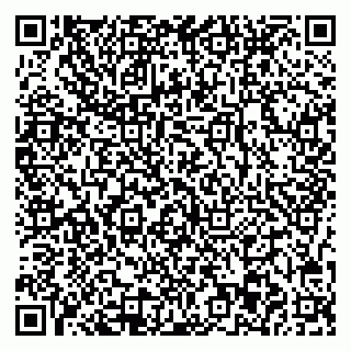 vCard 78037003100
