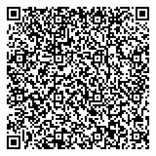 vCard 78037003131