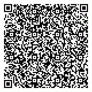 vCard 78037003301