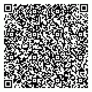 vCard 78037003377