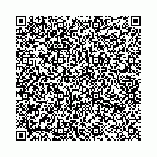 vCard 78041000001