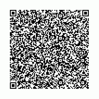 vCard 78041000019