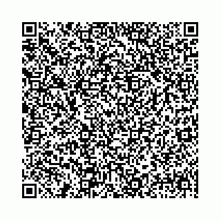 vCard 78041000173