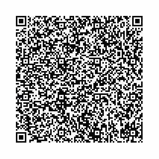 vCard 78041000739