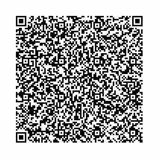 vCard 78041000839