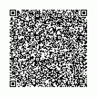 vCard 78041001039