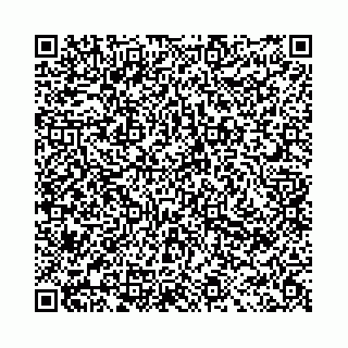 vCard 78041001339
