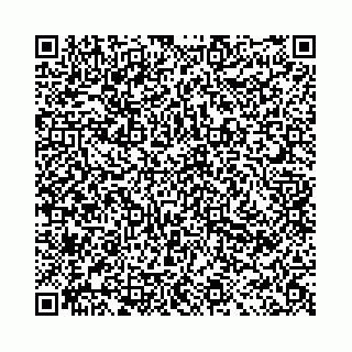 vCard 78041001539