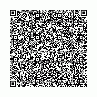 vCard 78041001739