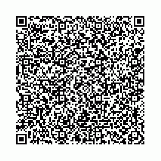 vCard 78041002339