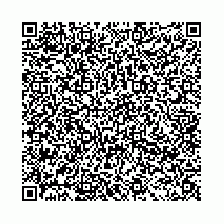 vCard 78041002493