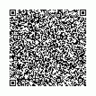 vCard 78041002539
