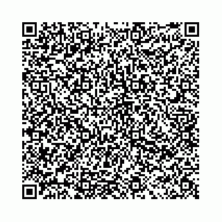 vCard 78041002739