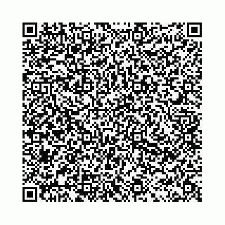 vCard 78041003039