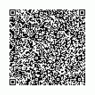 vCard 78041003332