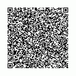 vCard 78041003602