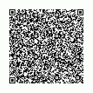 vCard 78041003604