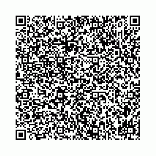 vCard 78041003633