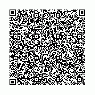 vCard 78041003702